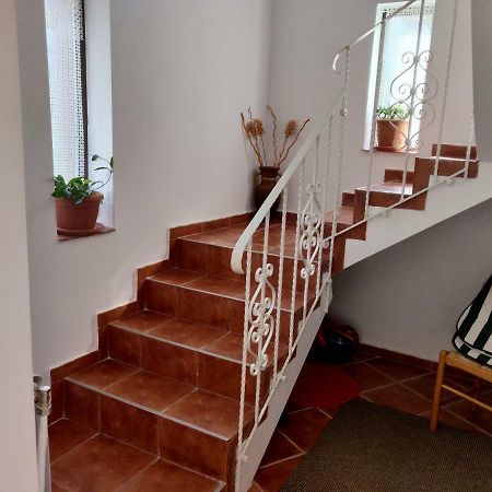 D&D Vila Villa Iasi Exteriör bild